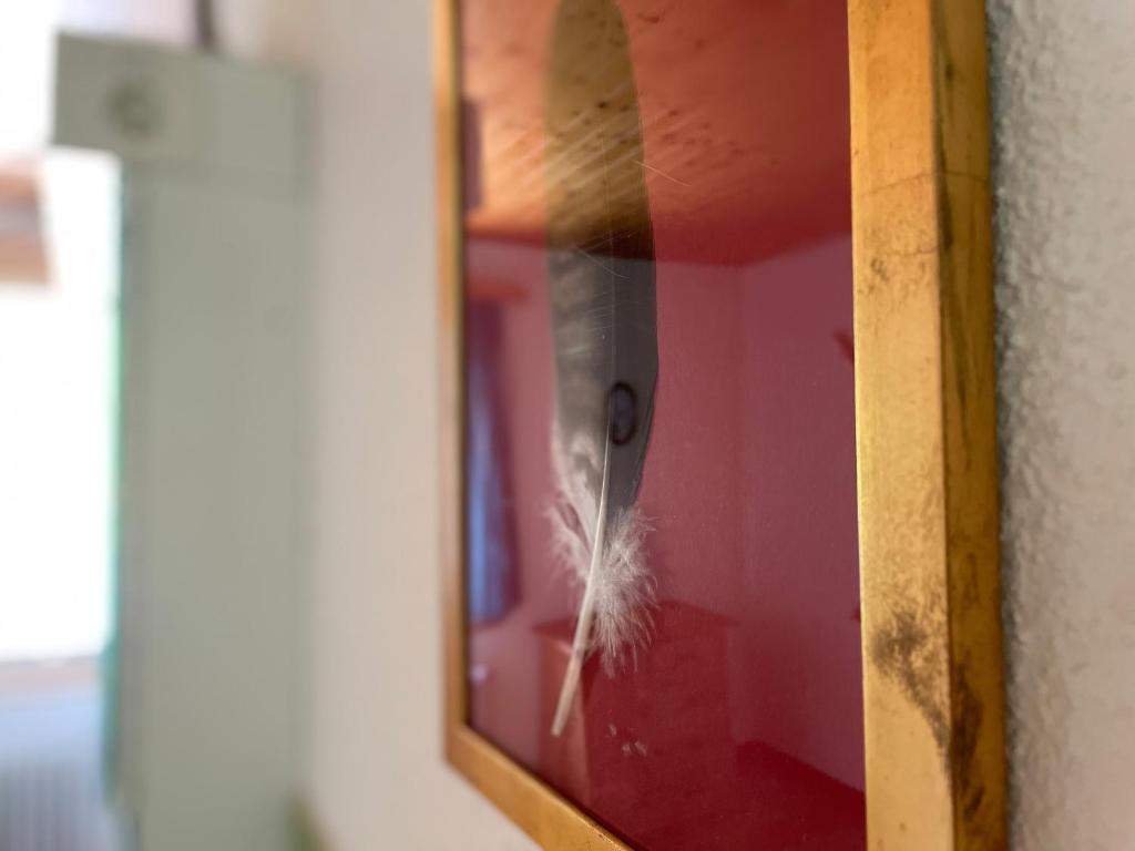Fotografie z fotogalerie ubytování Aktivhostel HängeMatt v destinaci Matt