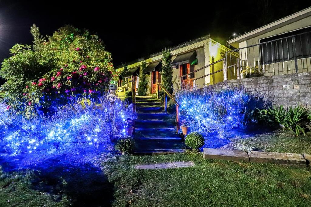 Κήπος έξω από το Pousada Campos do Jordao Suites