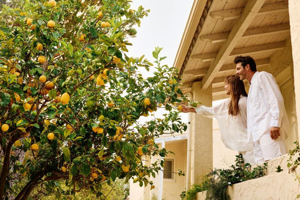 Agali Hotel Paxos - 13