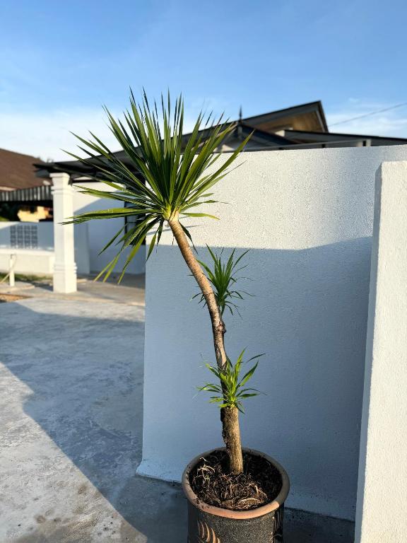 Fotografie z fotogalerie ubytování Kuala Berang-Rumah Jambu Manis-NETFLIX,FREE WIFI v destinaci Kuala Berang