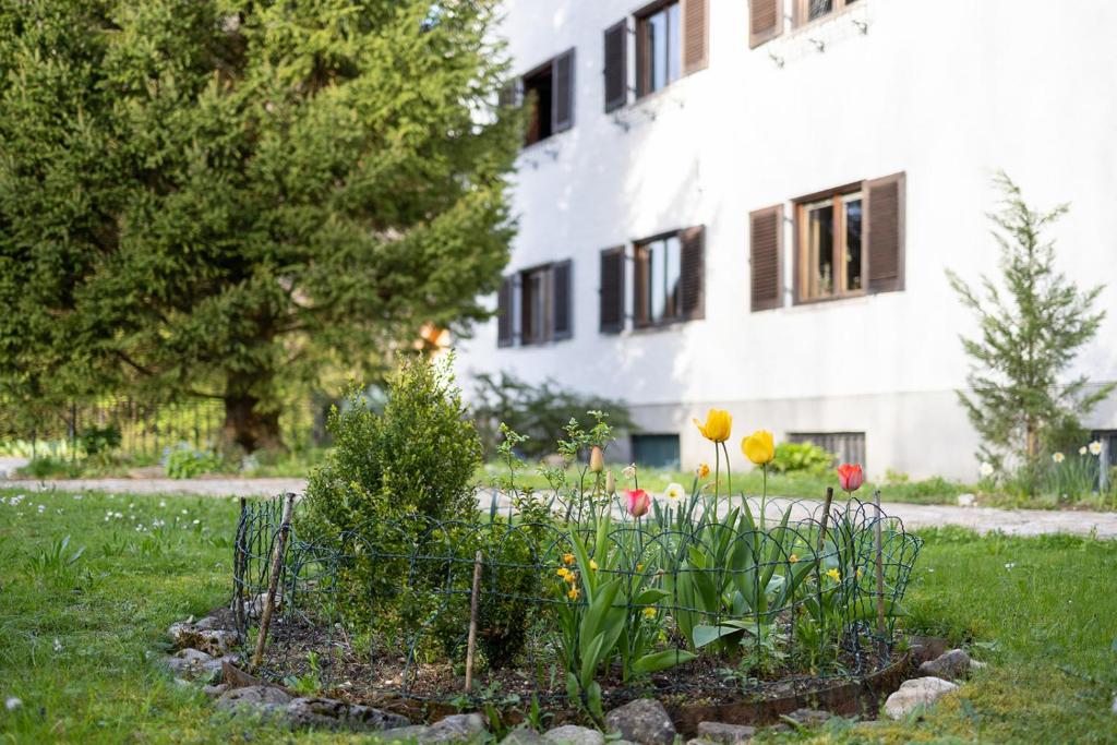 Zahrada ubytování Haus der Achtsamkeit