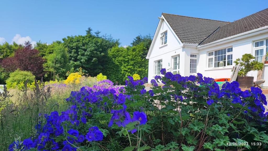 Zahrada ubytování Happy Hill Guesthouse