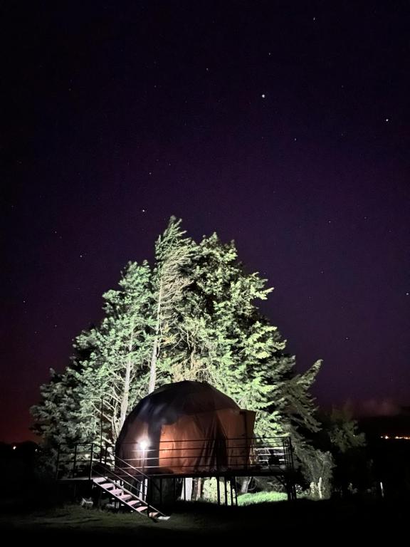 Fotografie z fotogalerie ubytování Green Noise Glamping v destinaci Fraijanes