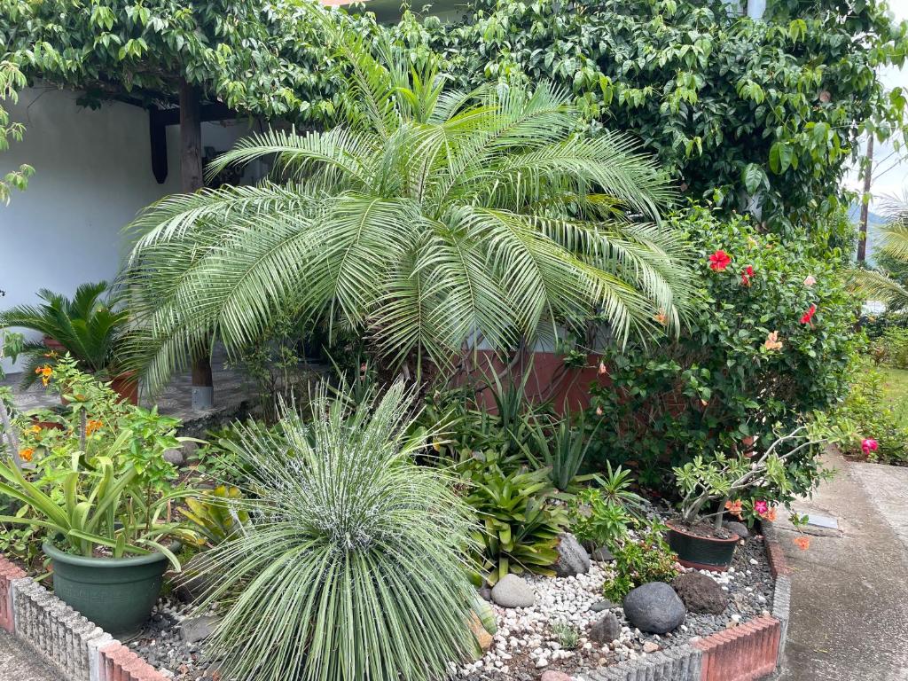Jardín al aire libre en Sarithea