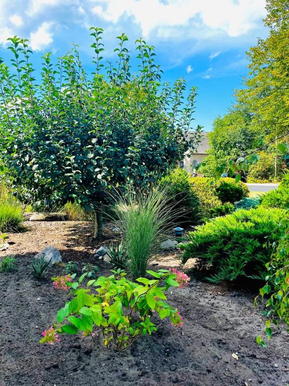 Ein Garten an der Unterkunft Ferienwohnung Zur Alten Tischlerei