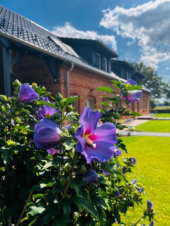 Ein Garten an der Unterkunft Ferienwohnung Zur Alten Tischlerei