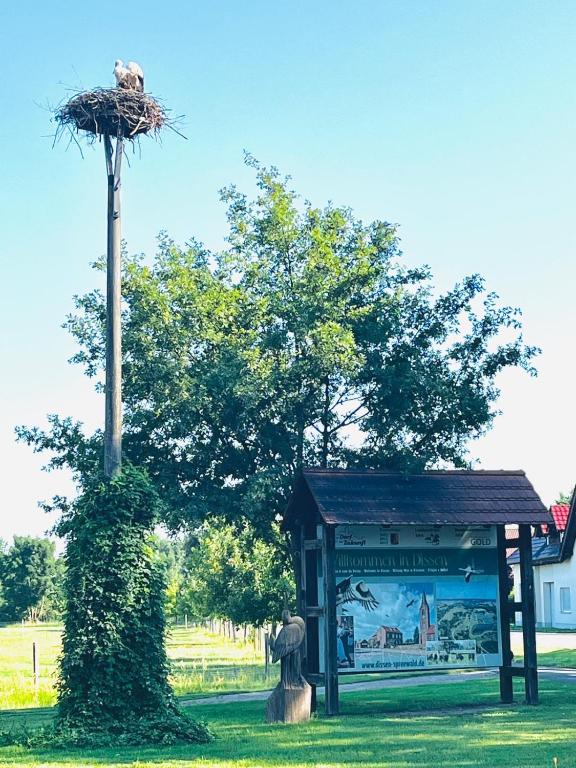 Ein Garten an der Unterkunft Ferienwohnung Zur Alten Tischlerei
