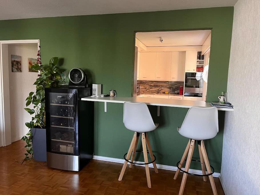 Kuchyň nebo kuchyňský kout v ubytování Cozy apartment in Lachen