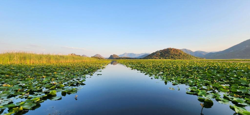 Lotus House Dodoši - 18