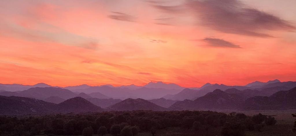 Lotus House Dodoši - 16