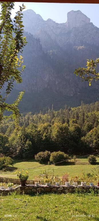 a view of a field with a mountain in the background at Bujtina Sherifaj in Valbonë