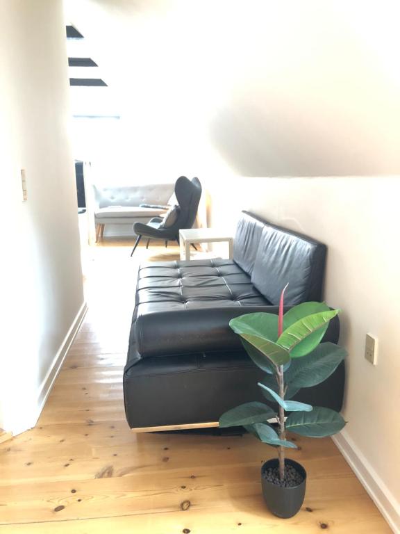 Posezení v ubytování Huset ved springvandet