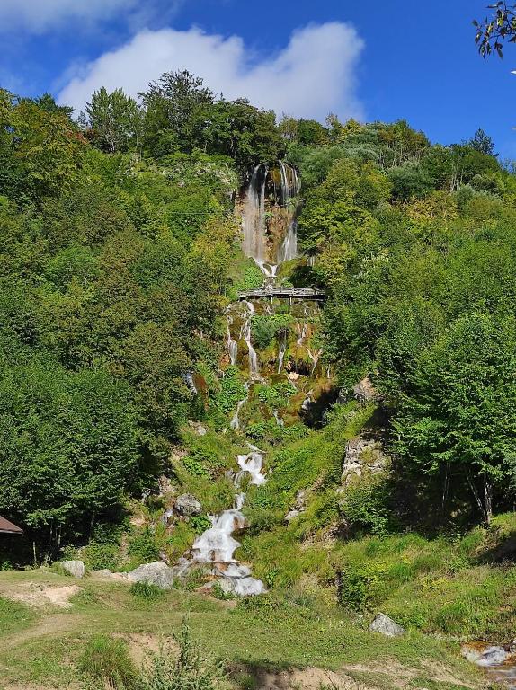 Příroda nedaleko apartmánu