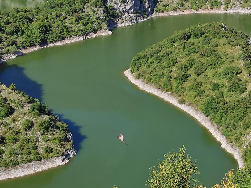 Příroda nedaleko apartmánu