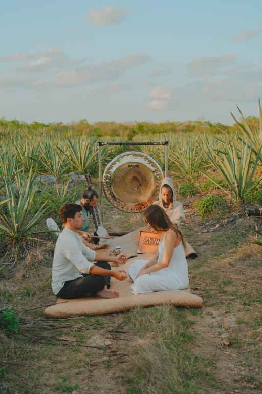 Hosté ubytování Viatura Hacienda Xtojil, Yucatan, Merida, with Optional All Inclusive
