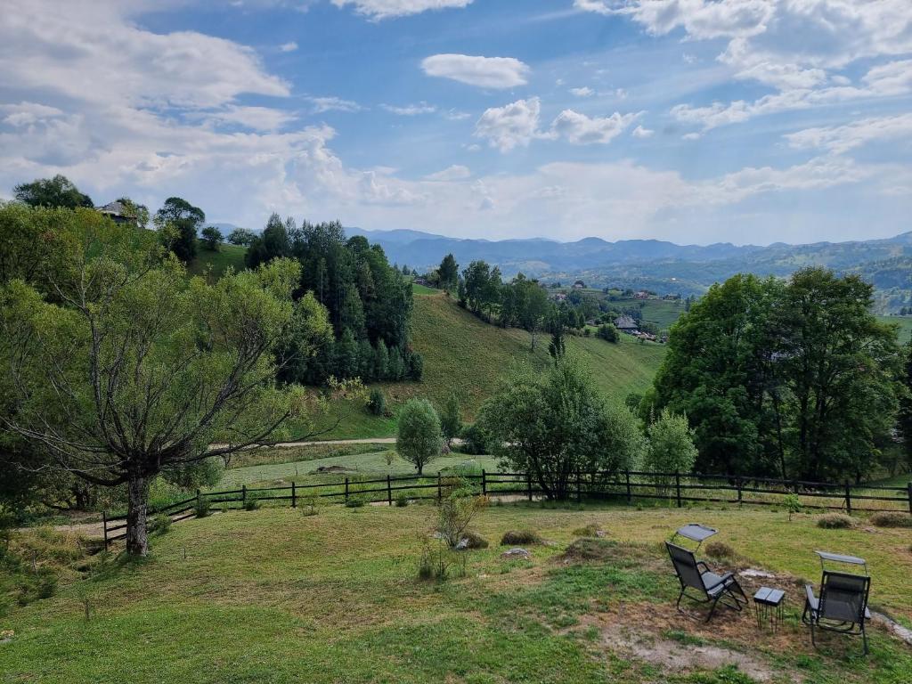 a group of chairs sitting on top of a field at Magura Rustic Tiny House in Măgura
