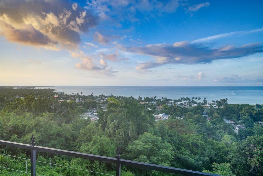 a view of the ocean and a city with trees at Villa del Enseuno- Pristine View and Infinity Pool in Luquillo