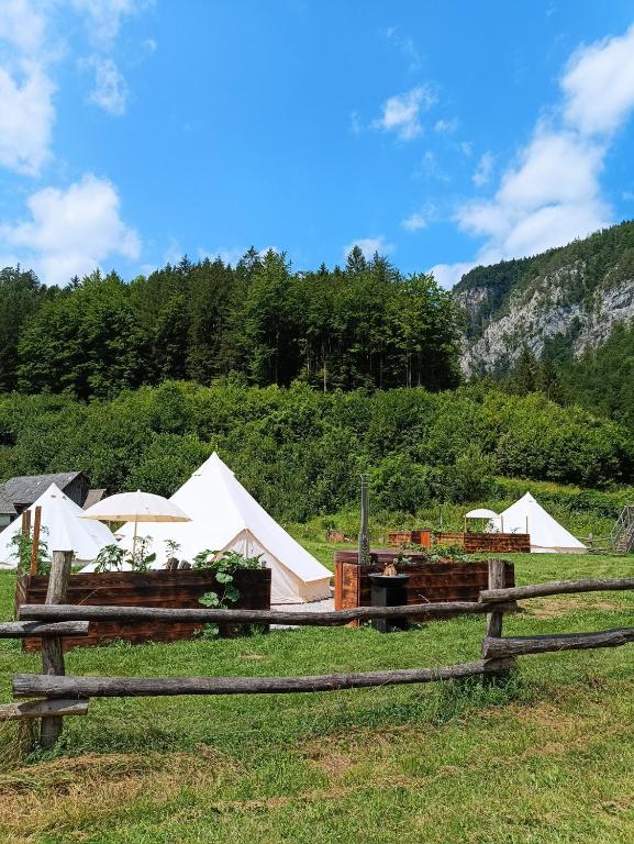 Příroda nedaleko luxury tent