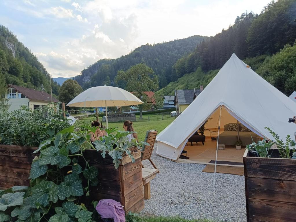 Příroda nedaleko luxury tent
