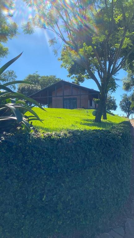 a building on top of a grassy hill with a tree at Casa de Campo Rancho Bodaneze in Abelardo Luz