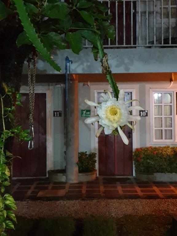 Zahrada ubytování Hotel Liberia