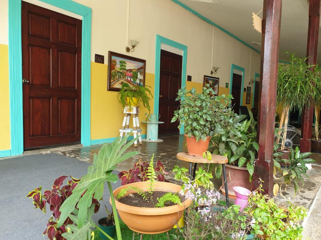 Zahrada ubytování Hotel Liberia