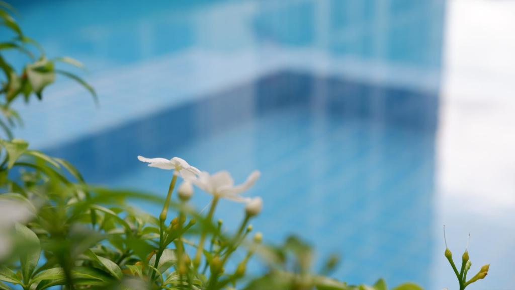 18 Residence - Resim 35