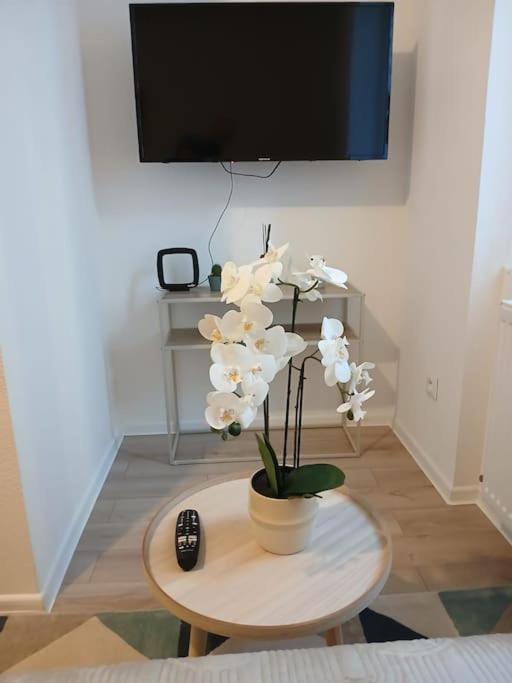 T1 "Orchidée" Centre ville, Stationnement gratuit et proche Tram – photo 9
