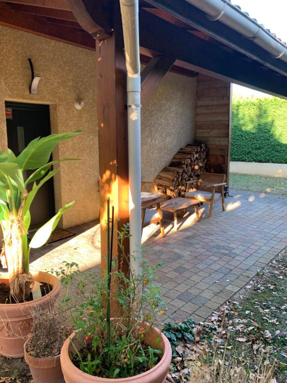 Zahrada ubytování Studio équipé Le Chasseland