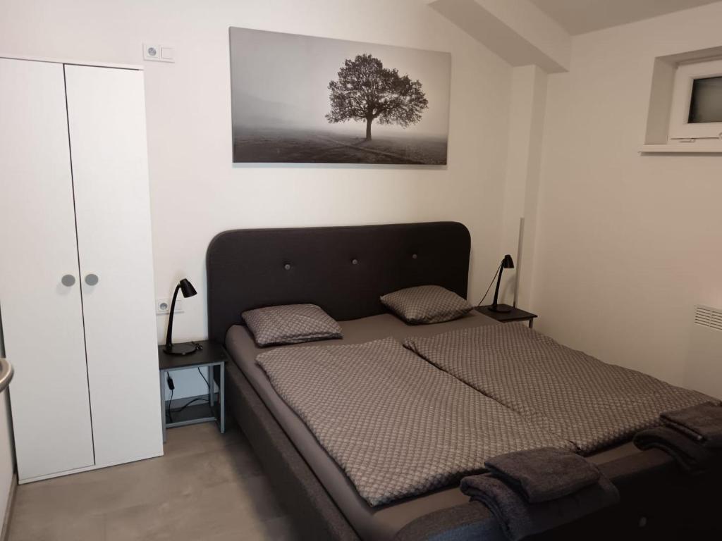 Postel nebo postele na pokoji v ubytování Apartmán u Révy