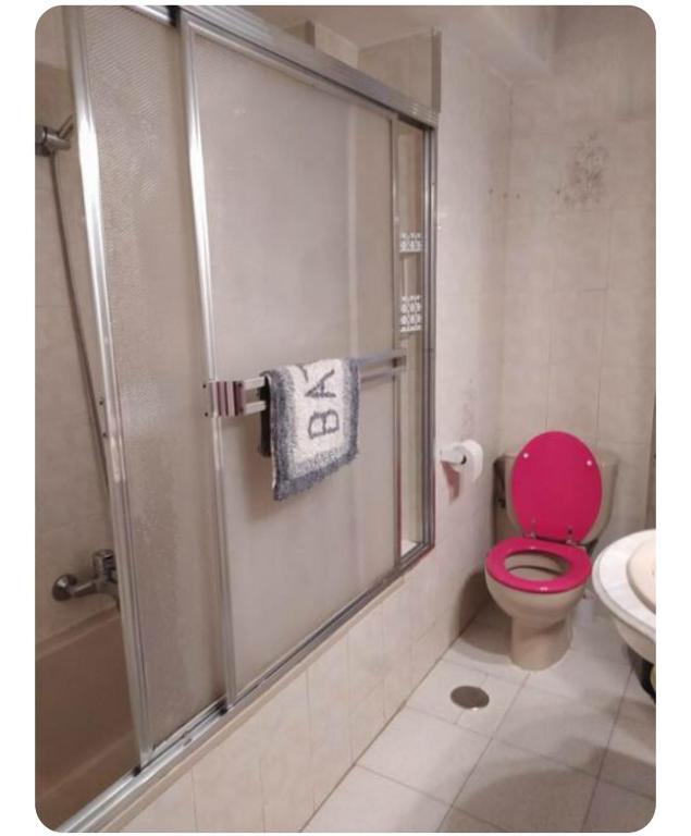 a bathroom with a shower with a pink toilet at PISO VINTAGE EN Madrid in Móstoles