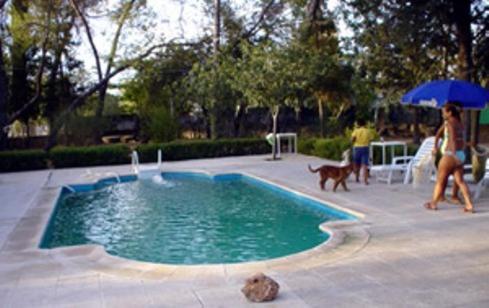 a woman with an umbrella and a dog walking by a pool at Casa Rural Herrera in Villacarrillo