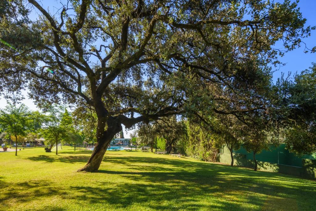 Crisol Jardines de Córdoba - Resim 13