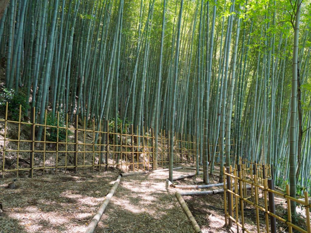 a bamboo forest with a path through it at Banyan Tree Higashiyama Kyoto in Kyoto