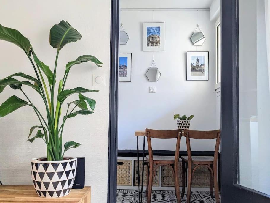 une plante assise sur une table à côté de deux chaises dans l'établissement Charmant T2 avec Jardin Proche gare, à Rennes
