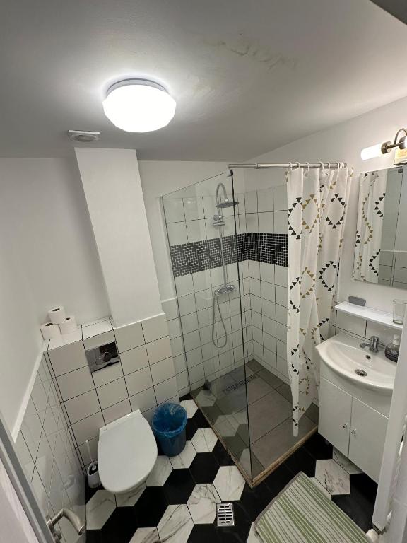 Ave Hotel Victoriei - Resim 18