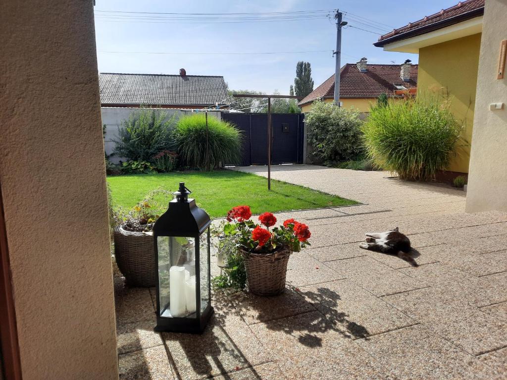 Zahrada ubytování Penzion Kateřina