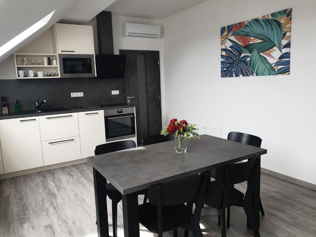 Kuchyň nebo kuchyňský kout v ubytování apartmány Miška Mirkovice