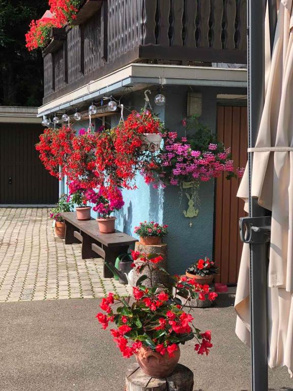 Zahrada ubytování Haus-erzberg