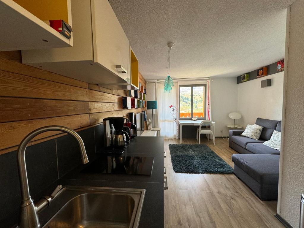 Il dispose d'une cuisine et d'un salon avec un évier et un canapé. dans l'établissement Appartement cosy au pied des pistes avec balcon et WIFI - FR-1-181-2151, à La Plagne Tarentaise