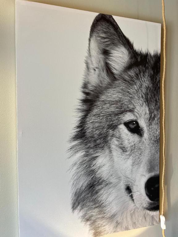 dessin d'un loup dans une boîte dans l'établissement La Maison de Sofia, à Montgenèvre