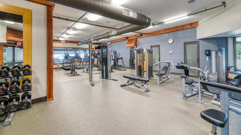 Fitness centrum a/nebo fitness zařízení v ubytování DoubleTree by Hilton Port Huron