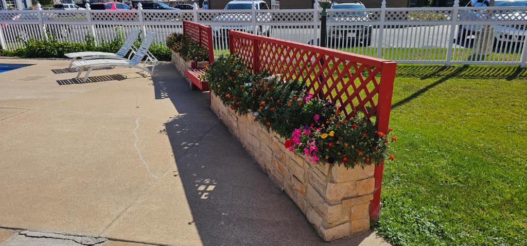 Best Nights Inn - Sparta photo