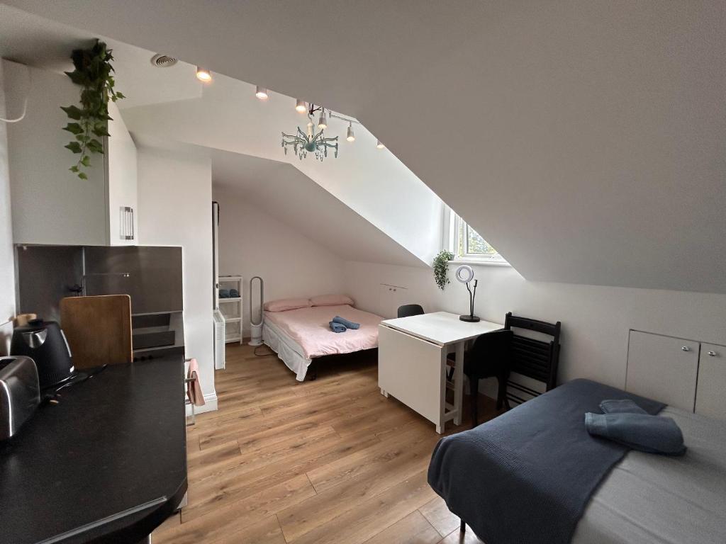 Illustration of Penthouse Studio Apartment Upgrades