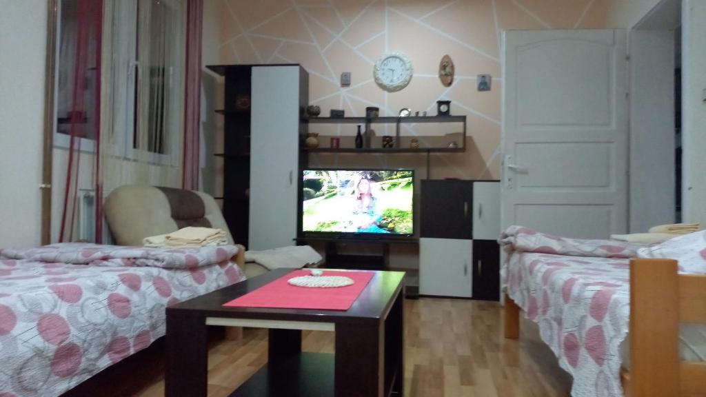 Postel nebo postele na pokoji v ubytování Sobe Popovica
