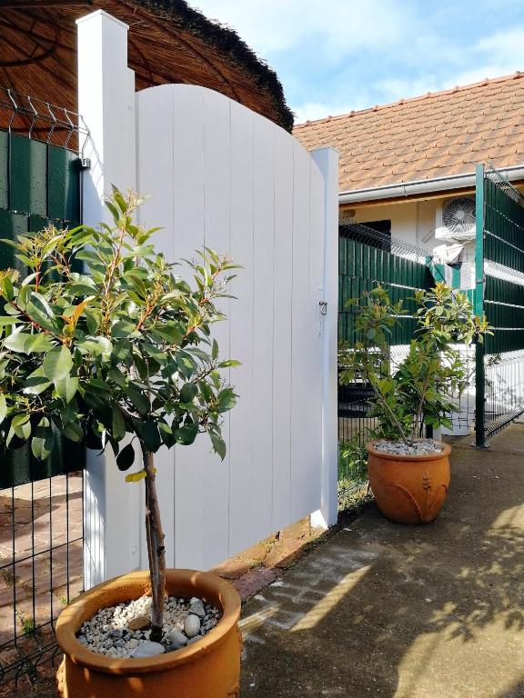 Apartman TESLA 29 - Appartement D'une Chambre