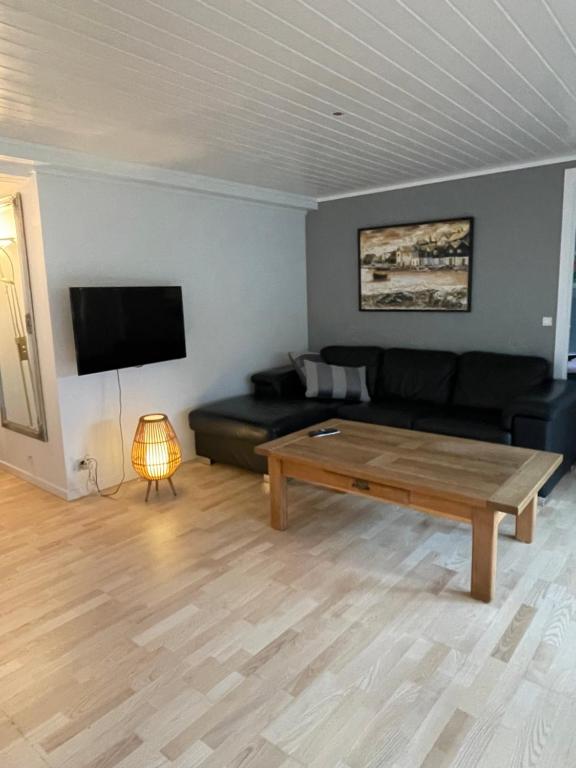 TV a/nebo společenská místnost v ubytování Nice apartment groundfloor