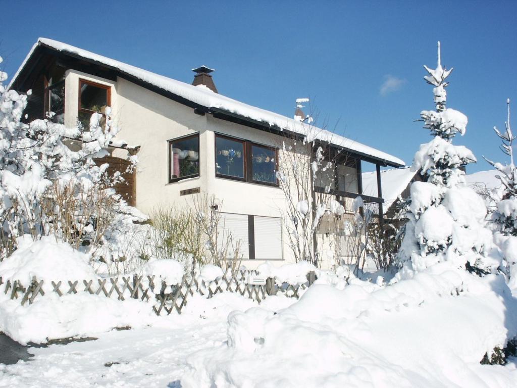 a house covered in snow with trees and bushes at Haus Reiser in Alpirsbach