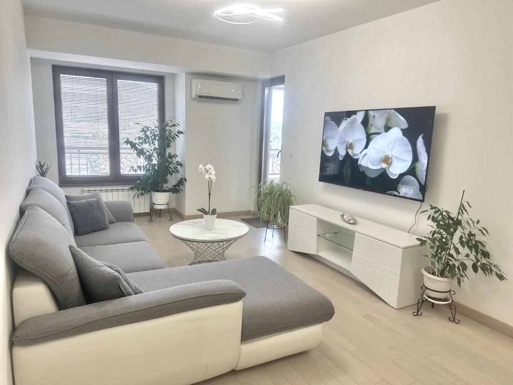 un salon avec un canapé et une télévision dans l'établissement Skyline Oasis, à Skopje