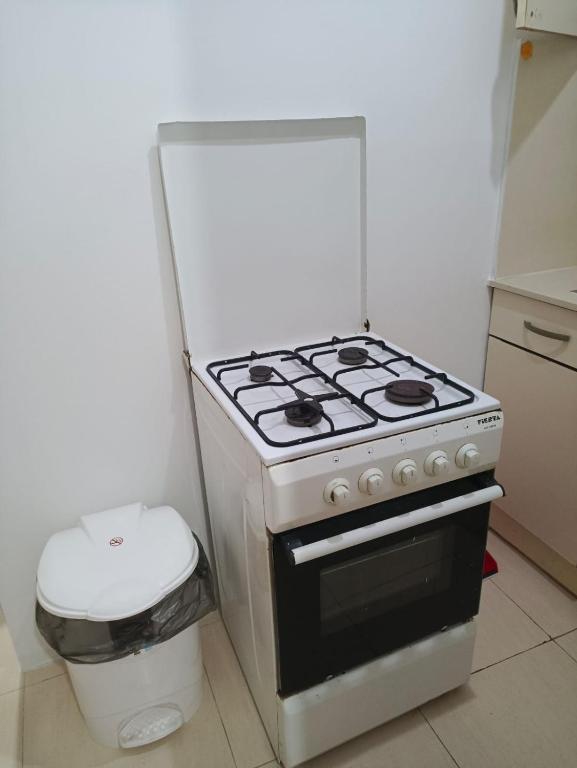 Kuchyň nebo kuchyňský kout v ubytování rose apartment